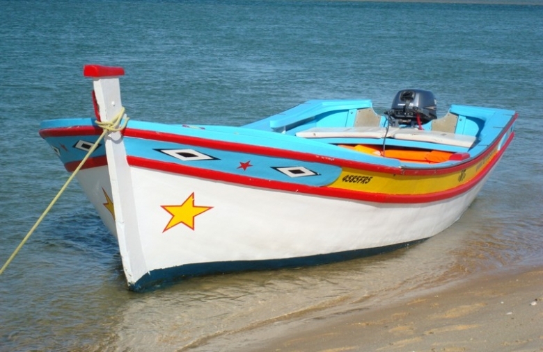 Traditional Boat Trip on The Ria Formosa - Vilamoura top Boat Trips