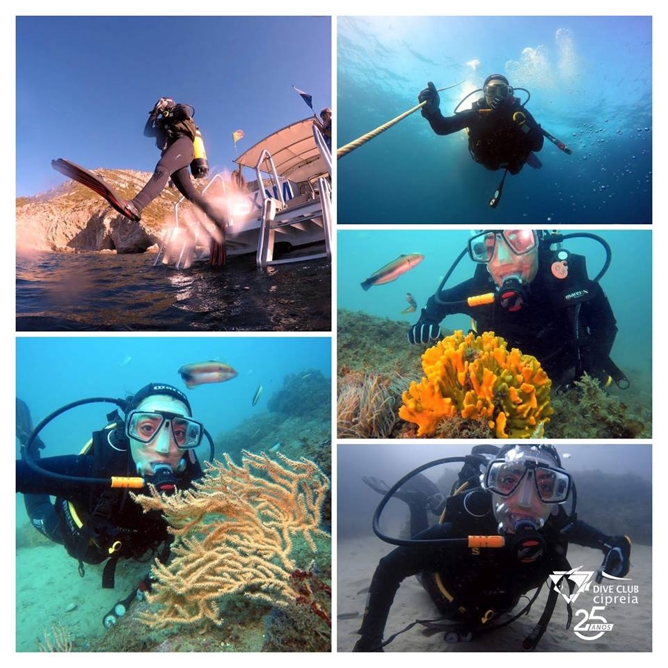 Scuba diving Lagos - Vilamoura top Boat Trips